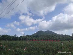 -亚龙湾国际玫瑰谷