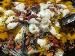 -金三可市井水煮鱼(金碧园店)