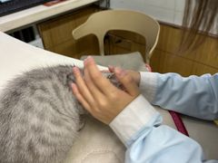 -瑞派宠物医院·中兽医专科(中央商城分院)