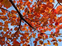 -龙云山风景区-鹿皮关长城