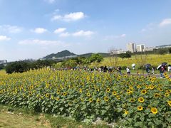 -光明小镇欢乐田园