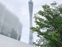 -广州当代美术馆