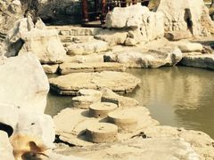 -南通洲际绿博园