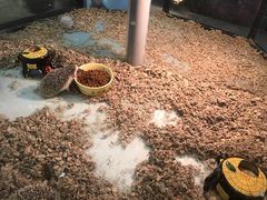 -宠物世家(仲盛世界商城店)