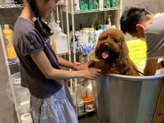 -PETKIT 小佩宠物·低压洗护·美容·寄养(安远店)