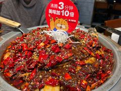 -南锣肥猫·麻辣烤鱼·16年现烤现卖(财富购物中心店)