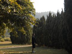 -南沙蒲洲花园
