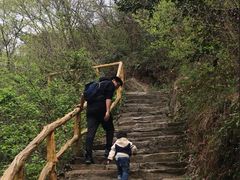 -木兰云雾山
