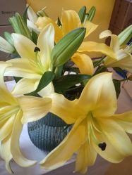 -FineYoga梵音瑜伽·普拉提