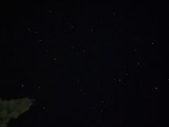 -武陵山森林公园