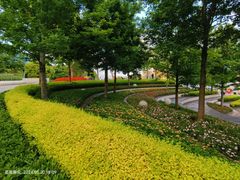 -北外滩滨江绿地