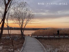 -绿堤公园