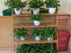 -德克士(东大街店)