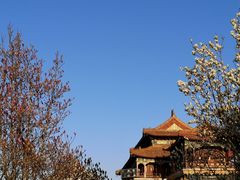 -雍和宫(地铁站)