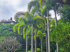 -广州都喜泰丽温泉度假酒店