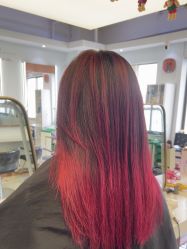 -镁连社·美联社