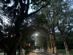 -广州市白云山风景名胜区