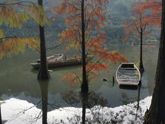 -深圳仙湖植物园