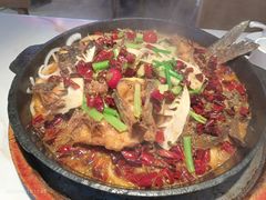 -老板恋上鱼(高新万达店)