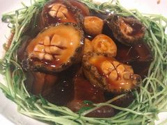 鸽蛋鲍鱼红烧肉-青雅中餐厅(大连金石滩绿发希尔顿度假酒店)