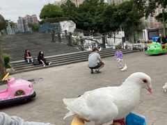 -南湖梦幻岛