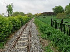 -西青郊野公园