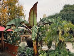 -悦哉·派对·草坪婚礼·围炉煮茶(三圣乡店)