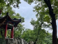 -莲湖公园