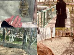 -水上乐园·欢乐世界