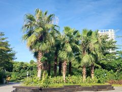 -福田红树林生态公园