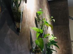 -膳糧·汕头肠粉·潮汕小吃(龙怡店)