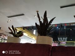 -裕龙汤泉