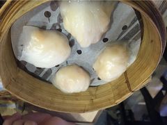添好运点心专门店(北角店)-添好运点心专门店(北角店)