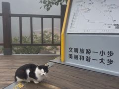 -狼牙山风景区