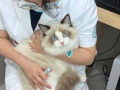 -谐和益家动物医院·免疫绝育·血液透析·宠保定点医院(高新伊藤分院)