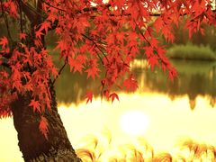 -梁鸿国家湿地公园