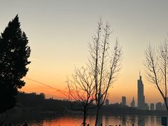 -丁老爷子苏香圆