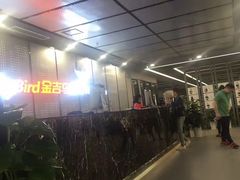 -金吉鸟健身游泳