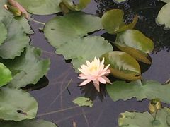 -惠州西湖丰渚园