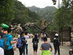 -龙湾潭国家森林公园