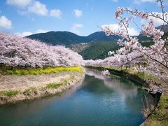 -上海旅游集散中心(万体站)