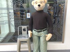 -济州岛泰迪熊博物馆