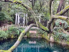 -蝴蝶泉公园