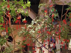 -吴越荣记苏州菜·松鼠桂鱼(月光码头店)