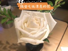 -茶颜悦色(花园道店)