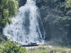 -秦岭终南山世界地质公园翠华山景区
