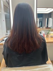 -程Studio