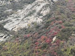 -少华山国家森林公园