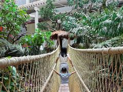 -正佳雨林生态植物园
