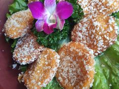 -花马天堂云南餐厅 Lost Heaven(外滩店)